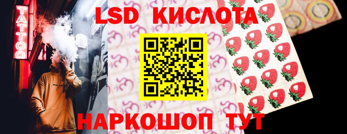 Галлюциногенные грибы Реутов