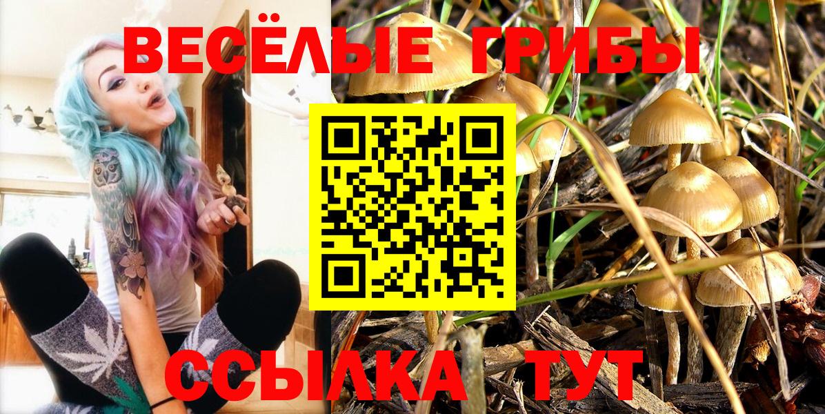 Реутов  Галлюциногенные грибы Psilocybine cubensis  Галлюциногенные грибы Psilocybe  Вход с VPN 